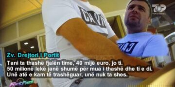 Skandal kur shteti është bordello që shet dhe veten!  Lufta e shezlongëve : Detit, rërës dhe pyllit në Zvërnec i del pronari!
