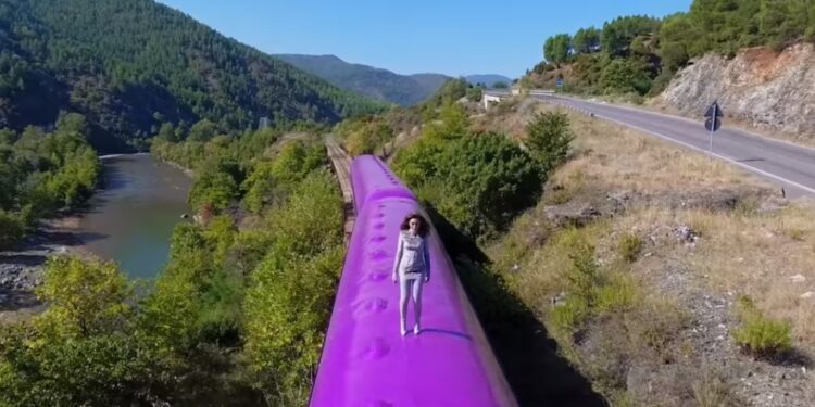 Treni i fundit i Elvana Gjatës dhe rruga e humbur drejt Europës