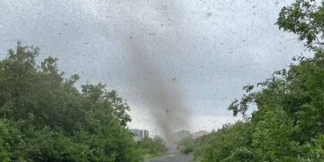 Pamjet “apokaliptike”, tornadoja e mushkonjave mbulon diellin
