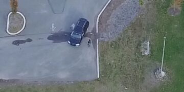 Rasti më i vecantë në botë,duke filmuar me dronë burri shikon të shoqen që po ja dridhte (Video)