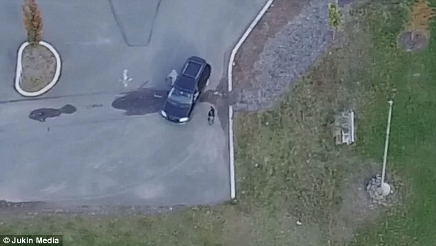 Rasti më i vecantë në botë,duke filmuar me dronë burri shikon të shoqen që po ja dridhte (Video)