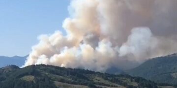Krijohet një shtëllungë e madhe tymi, shihni se çfarë po ndodh tek pylli i pishave në Voskopojë, tmerrohen banorët