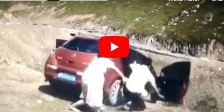 Videoja po trondit rrjetin! Dëshira për të shijuar pamjen për familjen u shndërrua në katastrofë: Makina përfundon në humnerë, kishte një person brenda!