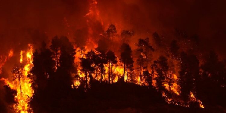 Vala e të nxehtit “përvëlon” Mesdheun, dhjetëra viktima
