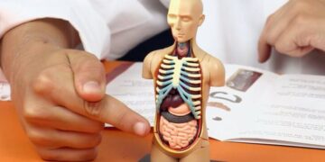 E pabesueshme… por njeriu mund të jetoj edhe pa disa organe të trupit të tij