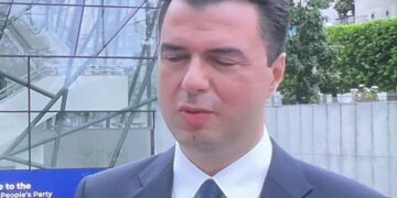 Basha kthehet i skuqur sikur ka dalë nga furra dhe i “hutuar” nga pushimet e gjata në Holandë! Mbledh Këshillin Kombëtar por “harron” zgjedhjen e nënkryetarëve të PD