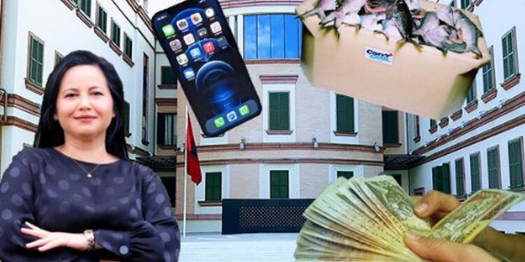 Apeli merr vendimin për avokaten që akuzohet se i dha rryshfet ish zv-ministres Rovena Voda