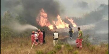 Peleshi: Parandalohet katastrofa në zonën e lumit të Vlorës, ndërhyhet dhe nga ajri për shuarjen e zjarreve