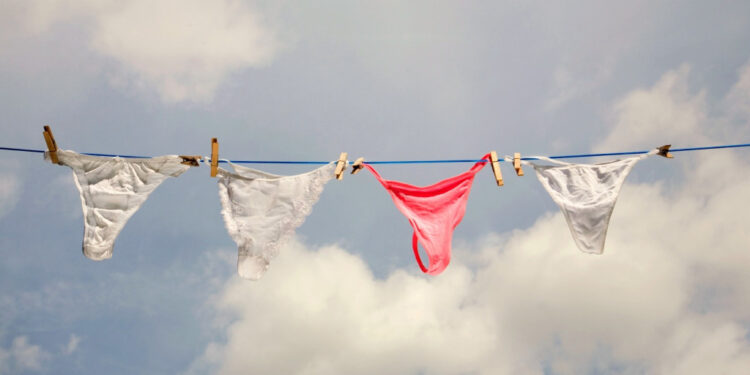 Gruaja padit komshien për varjen e të brendshmeve në kopshtin e shtëpisë: Po përpiqet të më marrë burrin