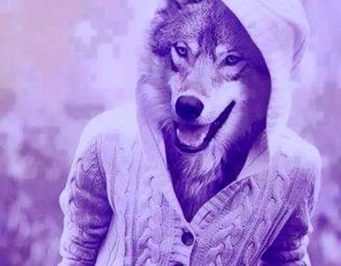 Gjyqet e çuditshme ndaj “Njerëzve-Ujqër” në Evropën Mesjetare, si u ekzekutuan dhjetëra-mijëra