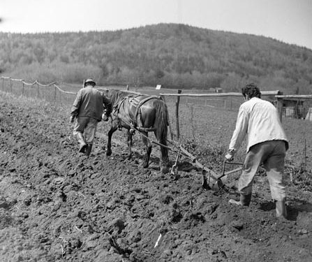 Si ua mori Enver Hoxha tokat pronarëve me reformën e 46-ës…dhe Saliu me ligjin 7501?!