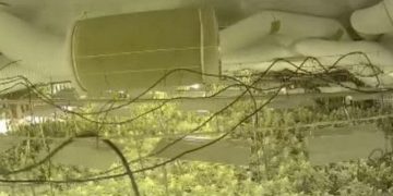 Zbulohet “shtëpia e barit” në Tiranë, mes të arrestuarve edhe një grua