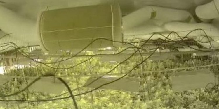 Zbulohet “shtëpia e barit” në Tiranë, mes të arrestuarve edhe një grua