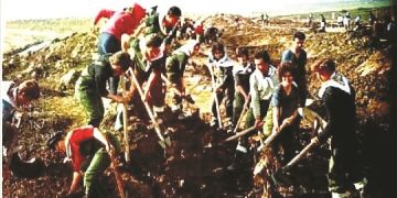 Pak nostalgji për rininë e dikurshme! Si u hapën tarracat e Lukovës me agrume