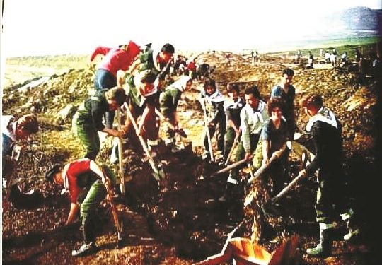 Pak nostalgji për rininë e dikurshme! Si u hapën tarracat e Lukovës me agrume