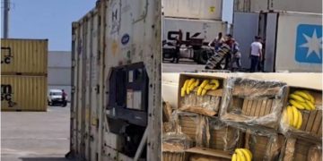 Sekuestrimi i 119 kg kokainë, një grup vodhi drogën në Itali, si kaloi dy pika kontrolli në Itali dhe Shqipëri!