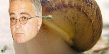 Edmond Spaho i kërkon Lulit të largohet, vetë pa asnjë meritë si m*ti pas këpucës në PD: Zbythu o derëzi sepse po të përdorin po tallet edhe Rama me ty!!
