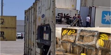 Kujdes, kujdes nga banania!