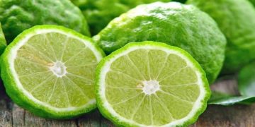 Bergamoti, më i kërkuari në botë, një thesar që gjendet prej shekujsh në Shqipëri