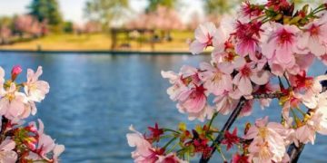 “Dita e Verës”, festa tradicionale që nga lashtësia