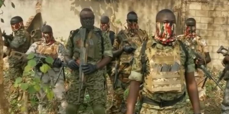 Të armatosur “gjer në dhëmbë”, luftëtarët afrikanë bëjnë deklaratën: Gati t’i bashkohemi vëllezërve rusë në Ukrainë për të vendosur paqen!