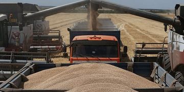 Ministrja e Bujqësisë nga Beogradi rikonfirmonë marrëveshjen Open Balkan: Gruri dhe misri nga Serbia do të sillet në Shqipëri