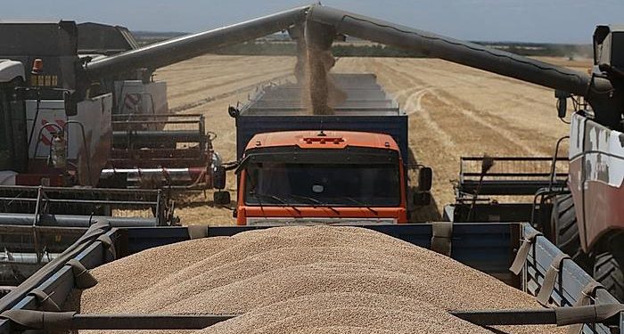 Ministrja e Bujqësisë nga Beogradi rikonfirmonë marrëveshjen Open Balkan: Gruri dhe misri nga Serbia do të sillet në Shqipëri