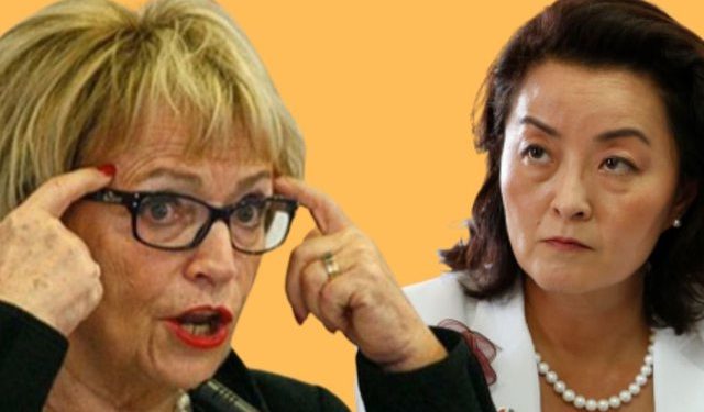 Turp të kesh! Kryetarja e plakave gjermane në pension në mbrojtje të Saliut dhe… “shtetasve shqiptarë”: Sulmon Yuri Kim