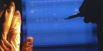 Shkencëtarët më në fund përfundojnë deshifrimin e të gjithë gjenomit njerëzor