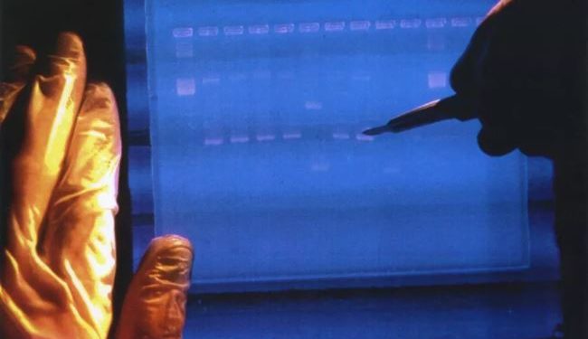 Shkencëtarët më në fund përfundojnë deshifrimin e të gjithë gjenomit njerëzor