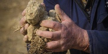 Italia shpall gjendje të jashtëzakonshme: Ndodh ajo që nuk ka ndodhur në 70 vjet