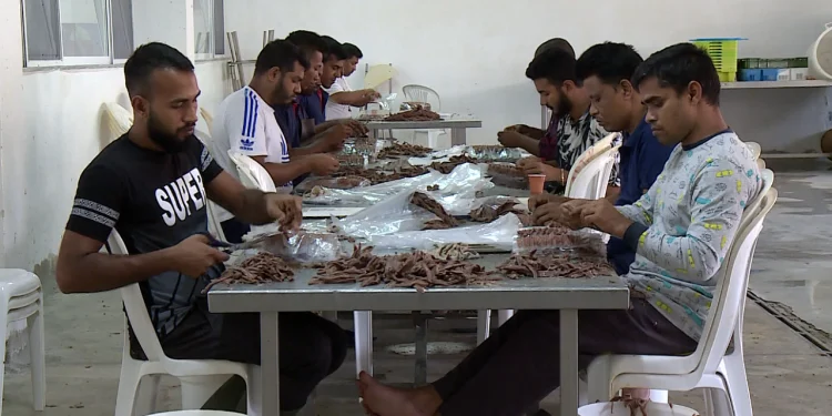 Fasoneritë, punëtorë nga Azia: Për bangladeshasit, Shqipëria, trampolinë për të ikur drejt Europës”