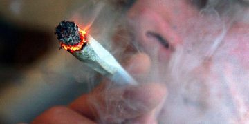 Çuni i Fatos Nanos pi hashash në zyrën e Agjencisë së Investimeve që drejton, disa dashnore brenda institucionit