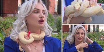 Nënkomisarja u pezullua nga Gledis Nano pas ofendimeve të rënda/ Habit me reagimin zv/ministri i Mbrojtjes: U revoltua rrjeti me policen, se ishte yll e bukur e nuk i vjen era djersë. Ne ku t’i gjejmë dhe ca si ajo