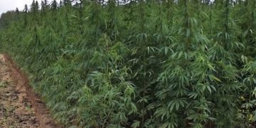 Shqiptarët me “tokë” edhe në malet e Greqisë! Kapet parcela me vlerë 10 mln euro: Mediat greke zbulojnë kush është ‘koka e grupit’