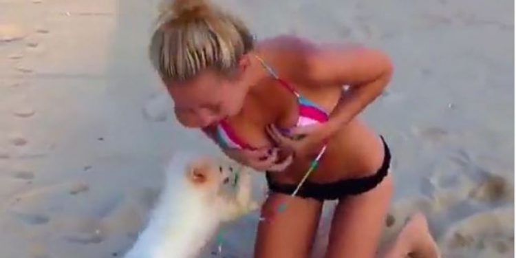 Qeni i vardiset keq pushueses, i tërheq rrobat e banjos dhe do ta zhveshë me çdo kusht! (Video)