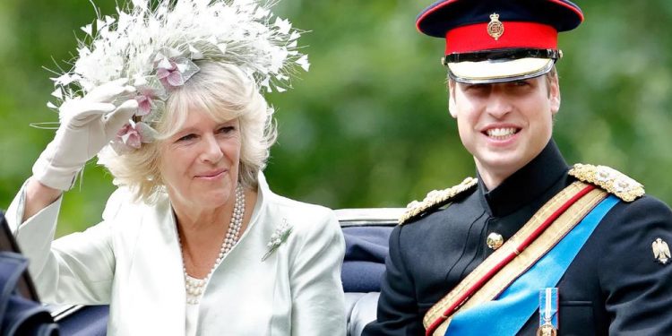 William, princ i Uellsit por Camilla nuk bëhet mbretëreshë! Çfarë ndodh me familjen mbretërore!