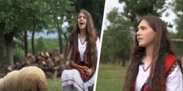 E pabesueshme! Baresha e vogël “përleshet” me ujqërit dhe shpëton qingjin e vogël (Video)