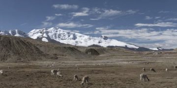 La Rinconada, të vërtetat e errëta mbi qytetin që ndodhet në “çatinë” e botës
