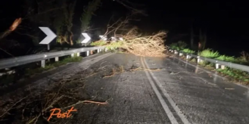 FOTO/ Moti i keq bën namin në vendin fqinj, stuhitë rrëzojnë pemët e bllokojnë rrugët