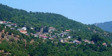 Profesori grek nxjerr faktet: Gjuha shqipe dhe kontributi i saj në idiomat e Epirit dhe greqishten e re