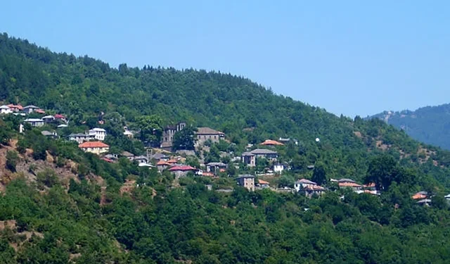 Profesori grek nxjerr faktet: Gjuha shqipe dhe kontributi i saj në idiomat e Epirit dhe greqishten e re