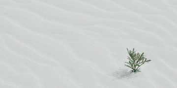 Çfarë më mësoi vdekja e vëllait tim?!