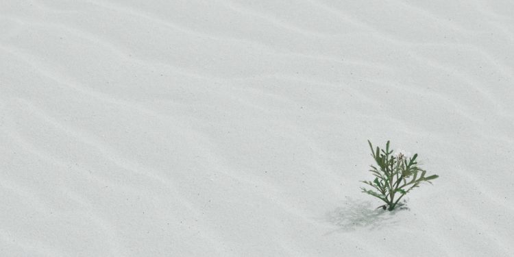 Çfarë më mësoi vdekja e vëllait tim?!