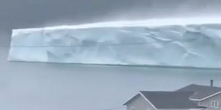 VIDEO/ Kur ajsbergu të vjen në derë të shtëpisë