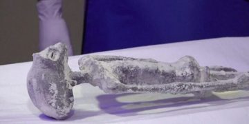 VIDEO/ Bëhet ekzaminimi i kufomave “aliene”?! Habisin ekspertët: Nuk janë të montuara, por…!